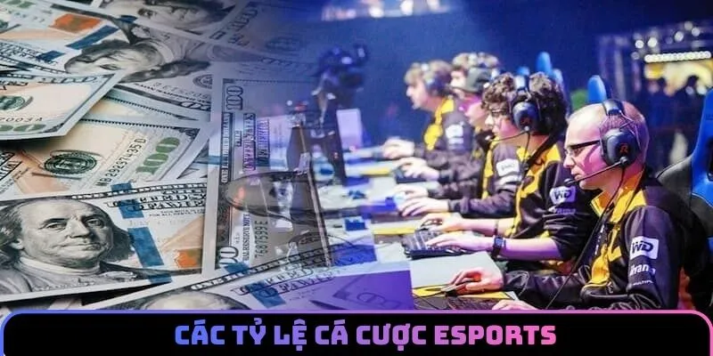 Các tỷ lệ kèo quy định trong luật cá cược esports 