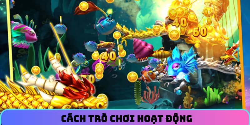 Tổng quan về trò chơi