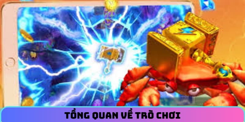 Các tính năng nổi bật
