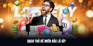 Tìm hiểu vài điều về bạch thủ đề miền bắc