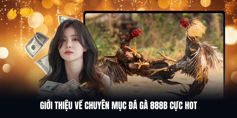Sơ lược vài điều về chuyên mục đá gà 888B